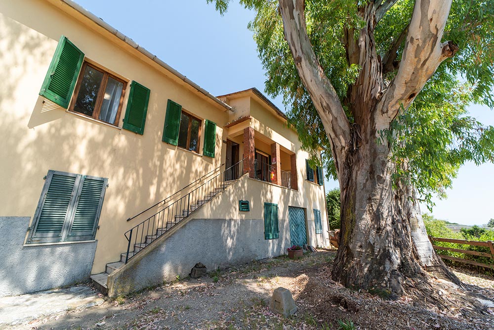 Appartamento trilocale - Agriturismo Mazzarri a Lacona