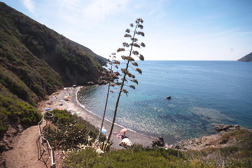 Laconella, Isola d'Elba